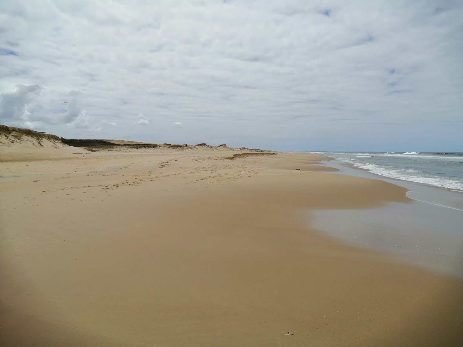Fotografie cu Oceania del Polonio Beach - locul popular printre cunoscătorii de relaxare