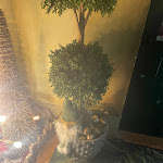 Photo n°3 de l'avis de MONICA.O fait le 29/11/2023 à 10:15 sur le  Pizzeria La Fossa di Ilaria e Luca Pedeni snc à Pavone del Mella