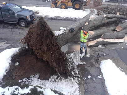 D & L Tree Service LLC