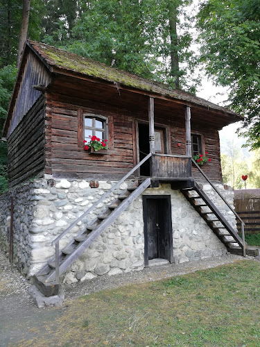 Muzeul Sătesc - <nil>