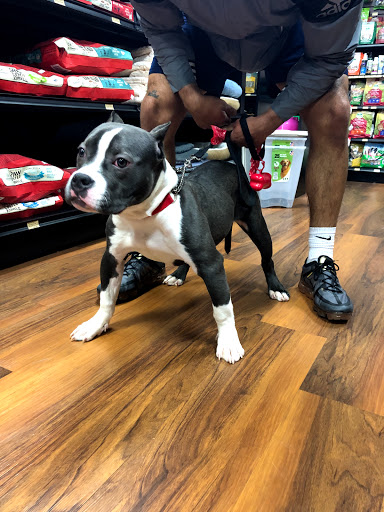 Pet Store «Pet Valu», reviews and photos, 2290 Central Park Ave, Yonkers, NY 10701, USA