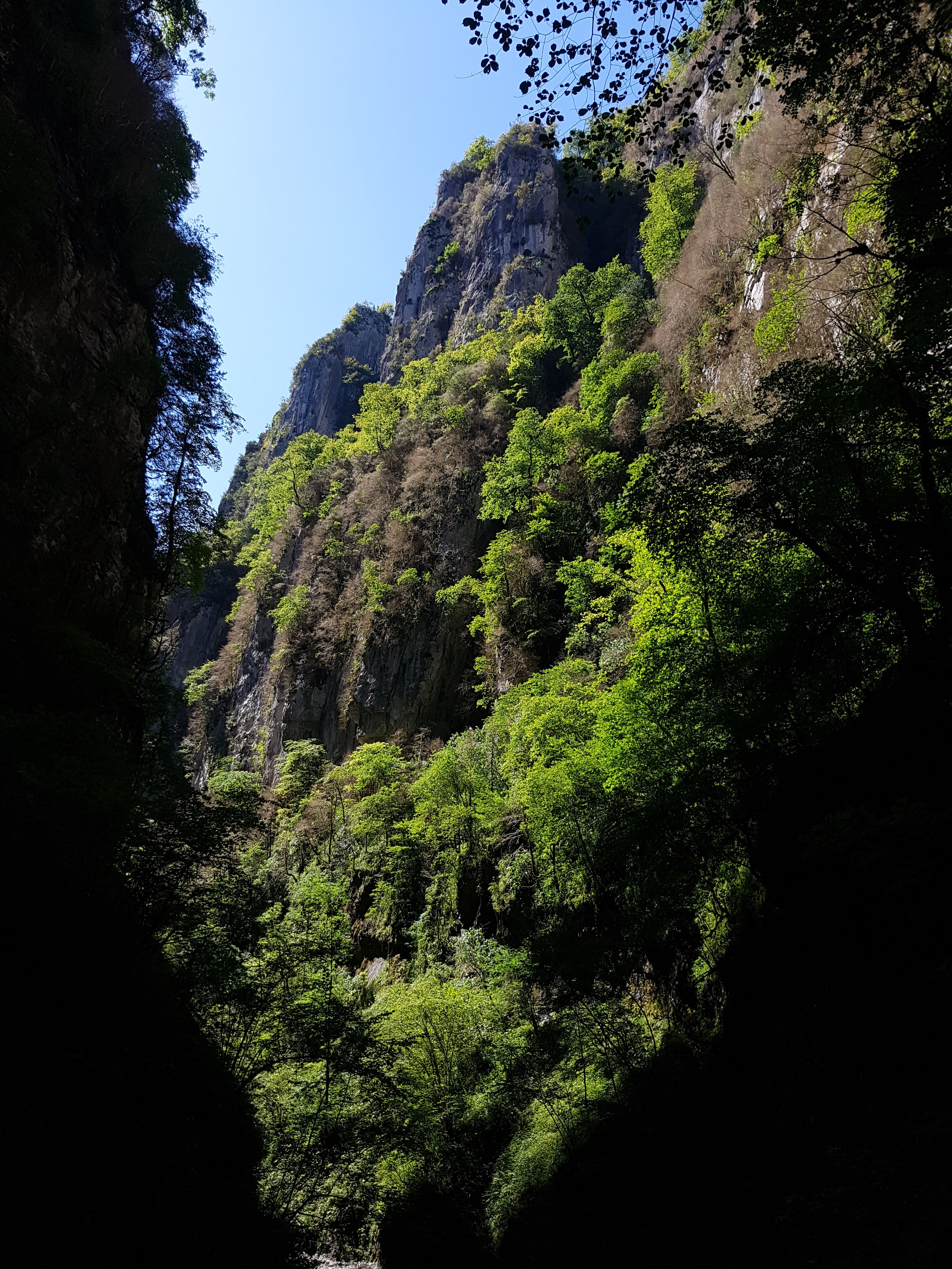 Photo n° 8 de l'avis de Loïc.E fait le 30/08/2019 à 20:31
