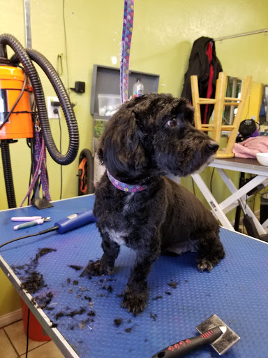 Milly's Dog Grooming