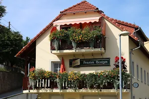 Pension Bautzen image