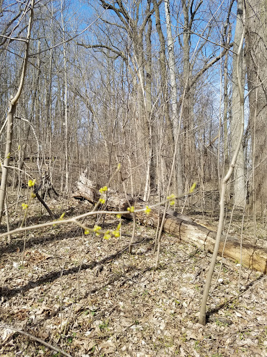 National Park «George Washington Memorial Parkway First Overlook», reviews and photos, George Washington Memorial Pkwy, Arlington, VA 22207, USA