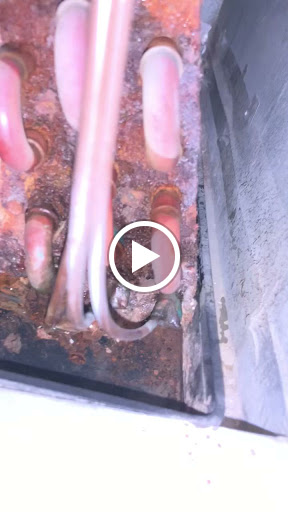 Plumber «Rainforest Plumbing & Air», reviews and photos, 2911 N Norwalk, Mesa, AZ 85215, USA