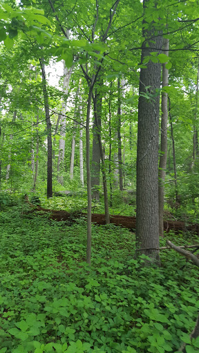 Golf Course «Huron Hills Golf Course», reviews and photos, 3465 E Huron River Dr, Ann Arbor, MI 48104, USA