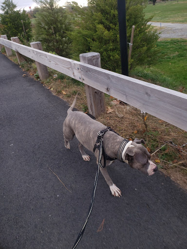 Golf Club «Winthrop Golf Club», reviews and photos, 453 Main St, Winthrop, MA 02152, USA