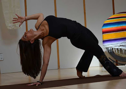 Osi Living - Yoga, Meditation, medicine, and healing foods