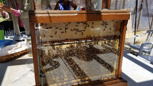 Grocery Store «Safeway», reviews and photos, 1355 Moraga Way, Moraga, CA 94556, USA