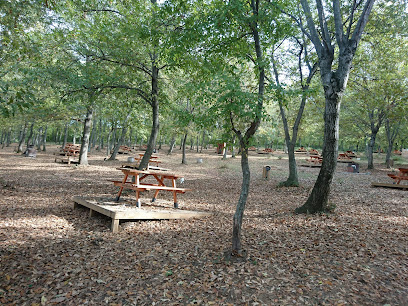 Kent Ormanı Piknik Alanı