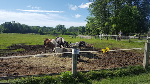 Bloc Sanitaire de la ferme écologique