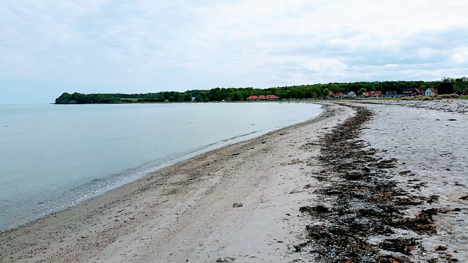 Kerteminde Nordsrand Beach'in fotoğrafı - tatil için iyi evcil hayvan dostu nokta