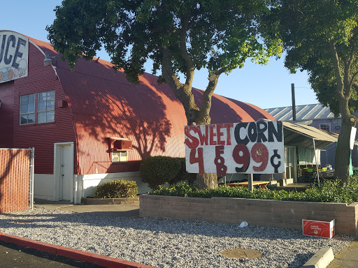 Produce Market «Pedrick Produce», reviews and photos, 6850 Sievers Rd, Dixon, CA 95620, USA