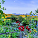 Photo n°6 de l'avis de N... fait le 04/10/2020 à 18:42 sur le  Utzhof - Hofcafé Utz à Gstadt am Chiemsee