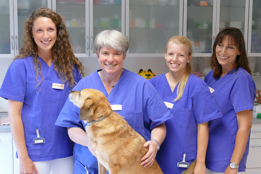Dr. med. vet. Annegret Kaspers unter Zorneding, Bayern