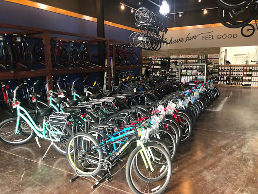 Bicycle Store «Bicycles Plus», reviews and photos, 190 E Stacy Rd #1704, Allen, TX 75002, USA