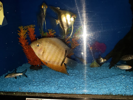 Pet Store «Pet Cove», reviews and photos, 820 E Center St, Kingsport, TN 37660, USA