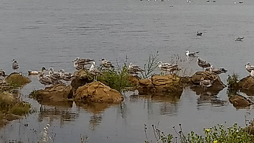 Shopping Mall «Redwood Square Shopping Center», reviews and photos, 480 Redwood St, Vallejo, CA 94590, USA