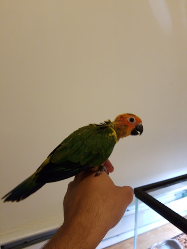 Pet Store «WorldWide Fish & Pets», reviews and photos, 61 Amity Rd, New Haven, CT 06515, USA