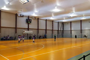 Polideportivo Arroyo De La Vega image
