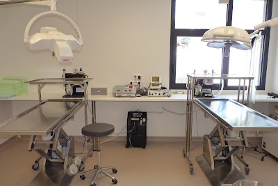 Clinique Vétérinaire du Coq À l'Âne à Bizanos