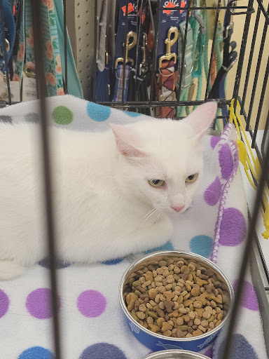 Pet Supply Store «Petco Animal Supplies», reviews and photos, 420 Harry L Dr #2, Johnson City, NY 13790, USA