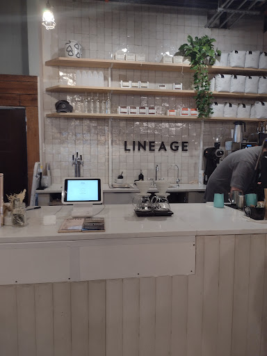 Coffee Store «Lineage Coffee Roasting», reviews and photos, 3201 Corrine Dr, Orlando, FL 32803, USA