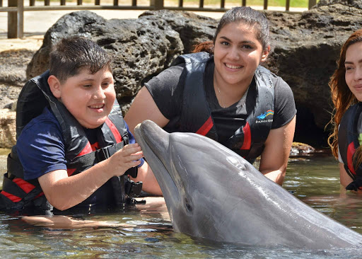 Seafood Market «Family Fish Market», reviews and photos, 18503 S Avalon Blvd, Carson, CA 90746, USA