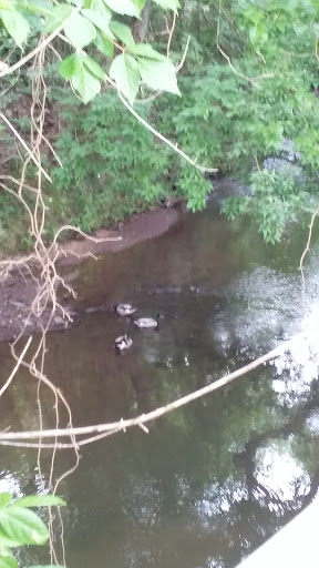 Park «Sparger Park», reviews and photos, 4301 Bedford Rd, Colleyville, TX 76034, USA