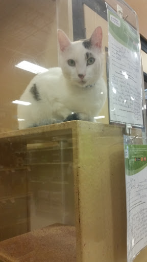 Pet Supply Store «PetSmart», reviews and photos, 2718 Legends Pkwy, Prattville, AL 36066, USA