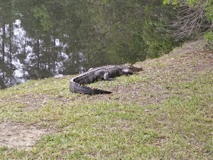 Witch Golf Links - photo 93