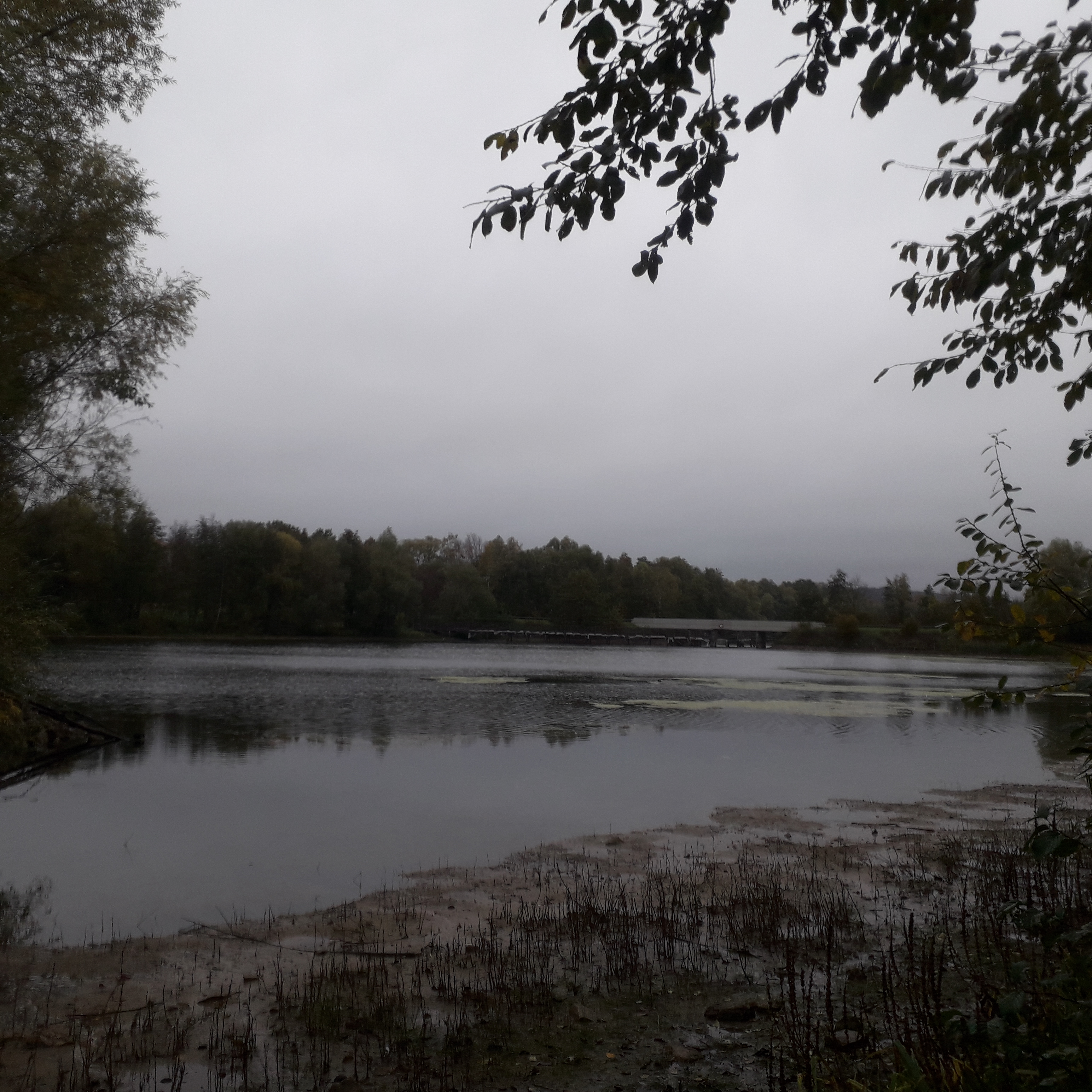 Photo n° 2 de l'avis de Catherine.e fait le 06/11/2019 à 18:06