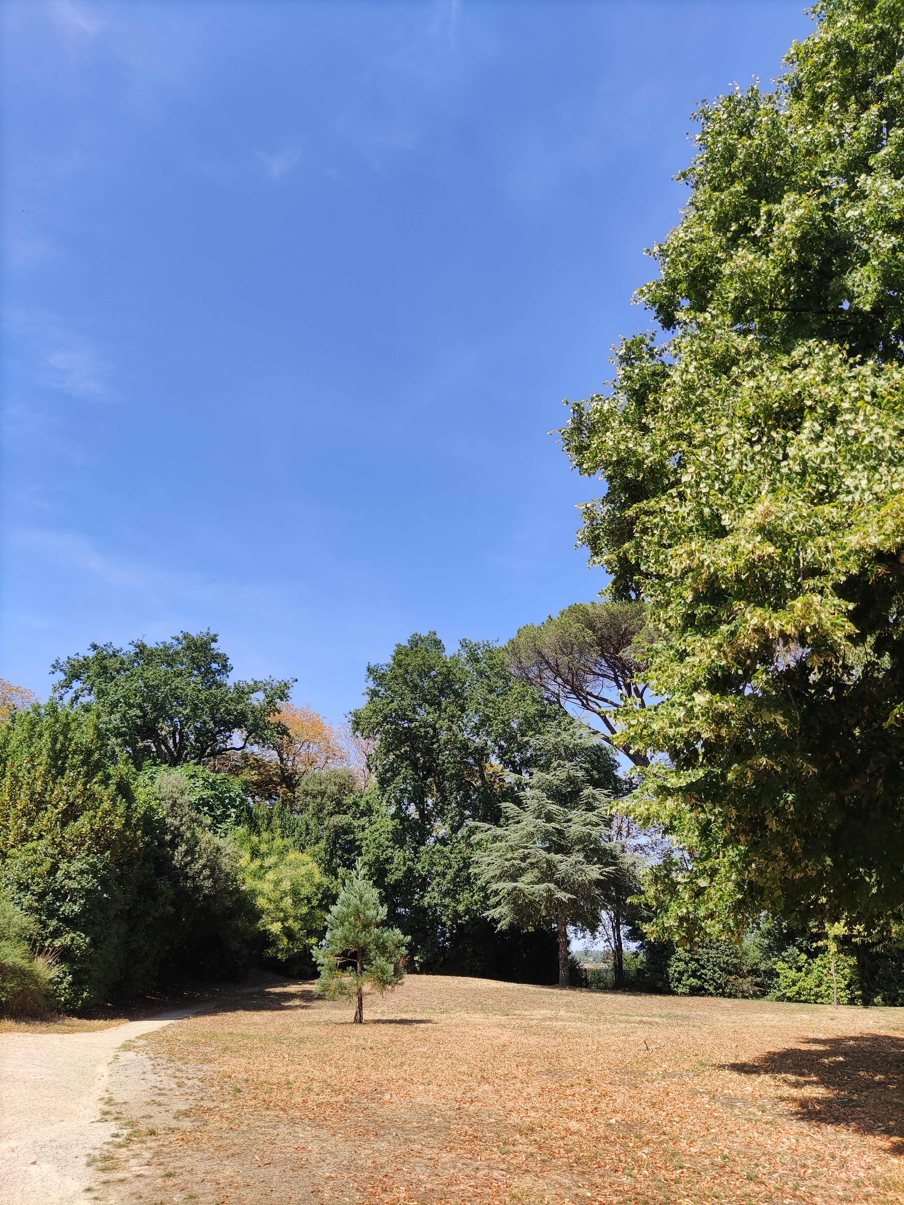 Photo n° 6 de l'avis de leluc.h fait le 23/07/2022 à 16:04