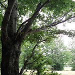 Photo n°1 de l'avis de Monica.h fait le 12/08/2020 à 15:58 sur le  Rifugio Pianvallese à Villa Minozzo