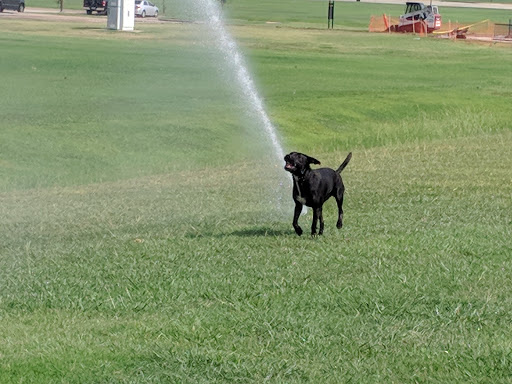 Park «Bob Jones Park», reviews and photos, 3901 N White Chapel Blvd, Southlake, TX 76092, USA