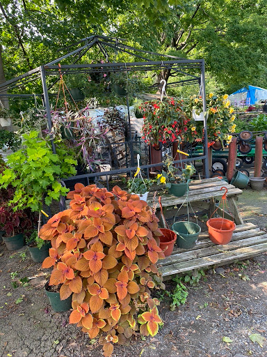 Florist «Butler Florist & Garden Center», reviews and photos, 416 Park Rd, West Hartford, CT 06119, USA