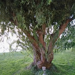 Photo n°15 de l'avis de Barista.a fait le 22/09/2019 à 09:51 sur le  VAB Resort Villaggio Albergo Belmonte by MI.DA. à Belmonte Calabro