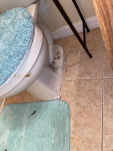 6970 W Grover Cleveland Blvd, Homosassa, FL 34446, USA