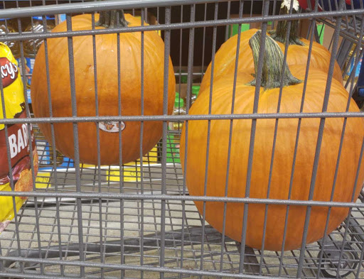 Supermarket «ALDI», reviews and photos, 3500 Lakeview Pkwy, Rowlett, TX 75088, USA