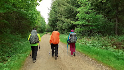 Forêt des Billanges à Les Billanges