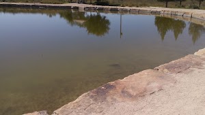 Oasis State Park - photo 66