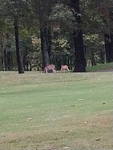 Public Golf Course «Hamptons Golf Course», reviews and photos, 320 Butler Farm Rd, Hampton, VA 23666, USA