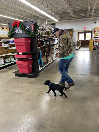 Louisa True Value Hardware