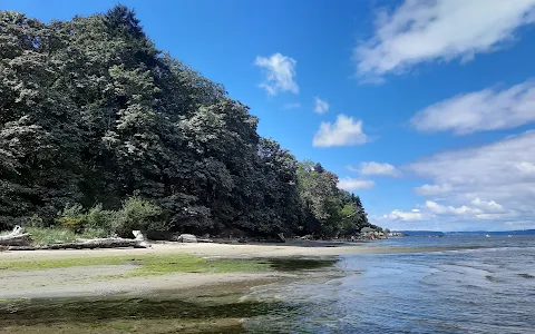 Dash Point State Park image