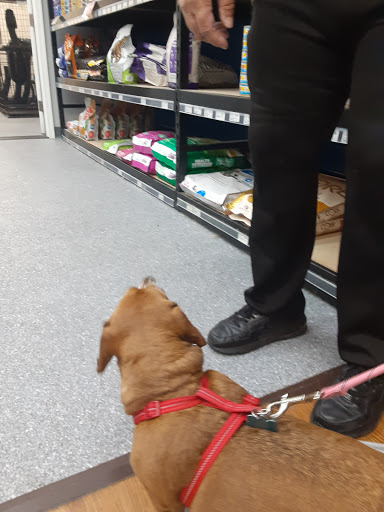 Pet Store «Pets Plus», reviews and photos, 4450 E Black Horse Pike, Mays Landing, NJ 08330, USA