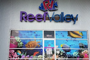 Reef Valley image