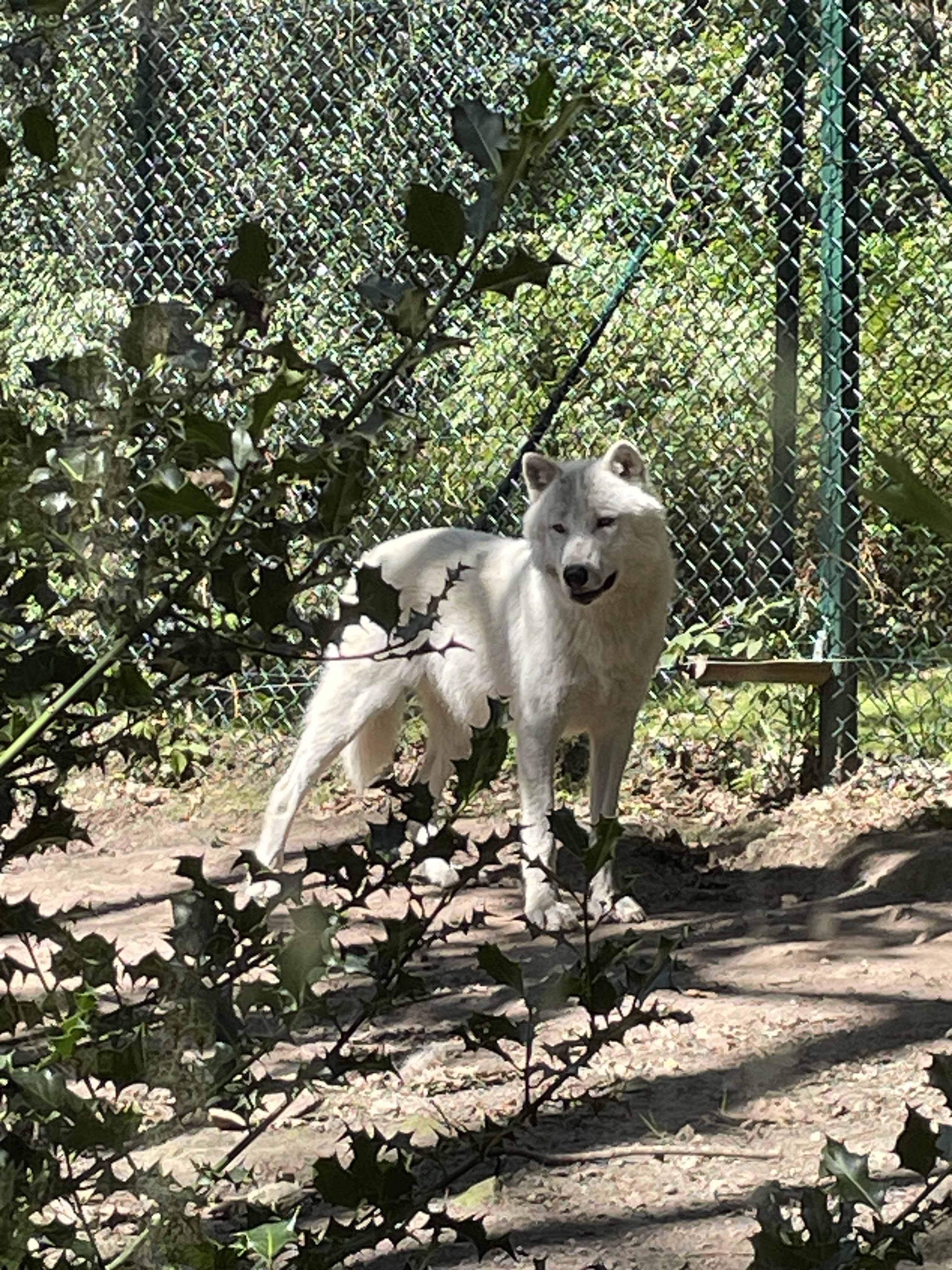 Photo n° 26 de l'avis de catherine.h fait le 22/08/2023 à 10:19