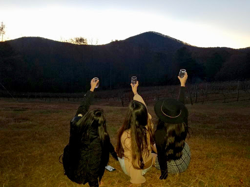 Winery «Sharp Mountain Vineyards», reviews and photos, 110 Rathgeb Trail, Jasper, GA 30143, USA