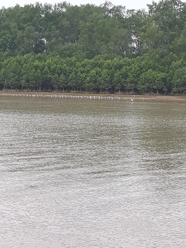 Top 20 cửa hàng tôn Huyện Châu Thành Trà Vinh 2022